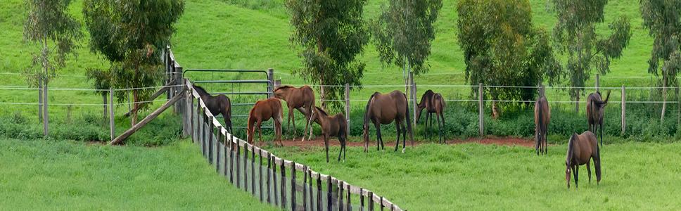 Zu Ihrer Information: